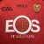 O'Neills Down GAA 2007 [L] (H) • tiziano.shop