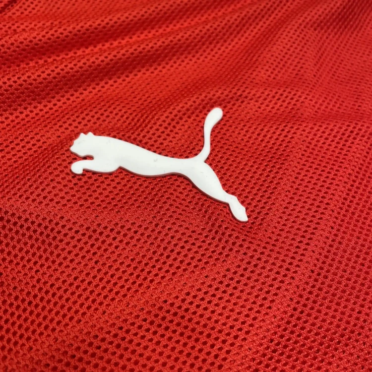 2008/10 Puma Switzerland Home Football Shirt • tiziano.shop
