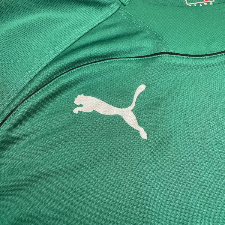 2010/11 Puma Ireland Rugby Home Jersey • tiziano.shop
