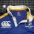 2008/09 Canterbury Leinster Rugby Training Jersey • tiziano.shop
