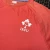 Canterbury Ireland Rugby Training Jersey • tiziano.shop
