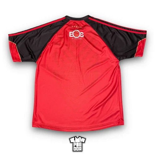2007 O'Neills Down GAA Home Jersey • tiziano.shop