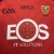2007 O'Neills Down GAA Home Jersey • tiziano.shop