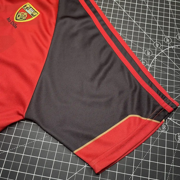 2007 O'Neills Down GAA Home Jersey • tiziano.shop