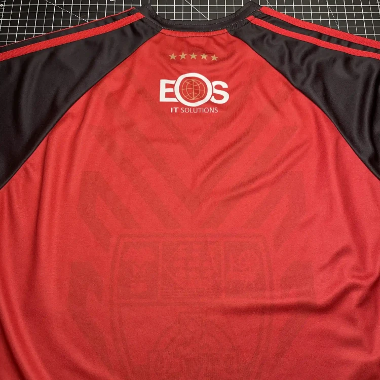 2007 O'Neills Down GAA Home Jersey • tiziano.shop