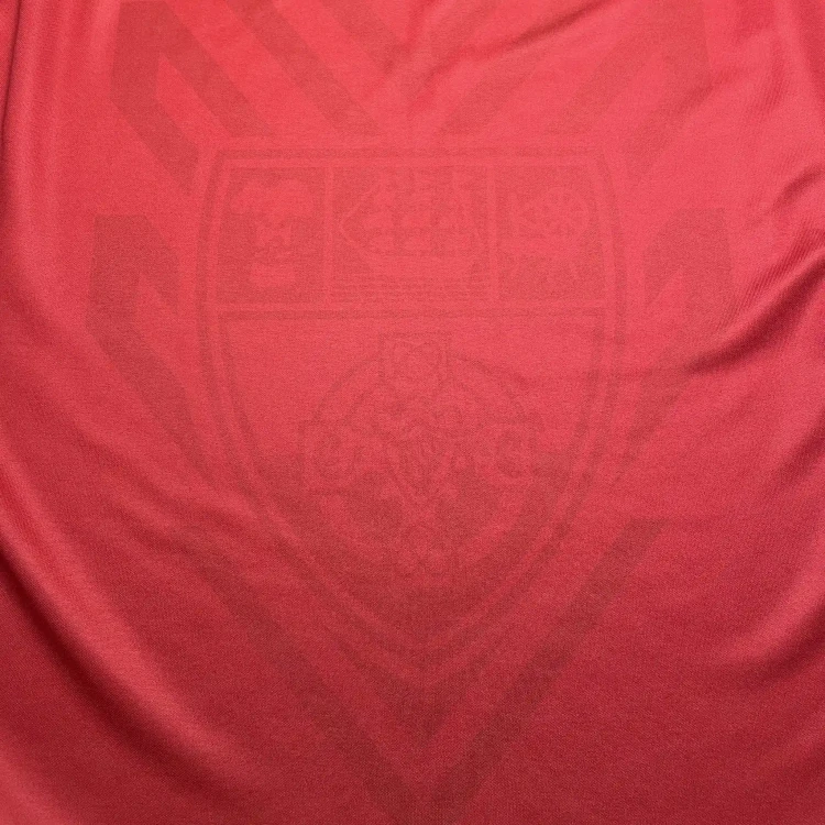 2007 O'Neills Down GAA Home Jersey • tiziano.shop