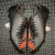 Adidas Predator Malice FG FZ5377 Rugby Boots • tiziano.shop