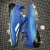 Adidas X 19.1 FG EG7126 Football Boots • tiziano.shop