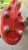 7f8fe0e3.webp