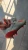 17b9dbbf.webp