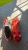 977da1c2.webp
